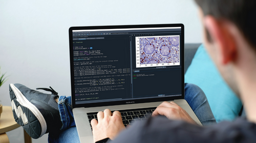 Python Learning